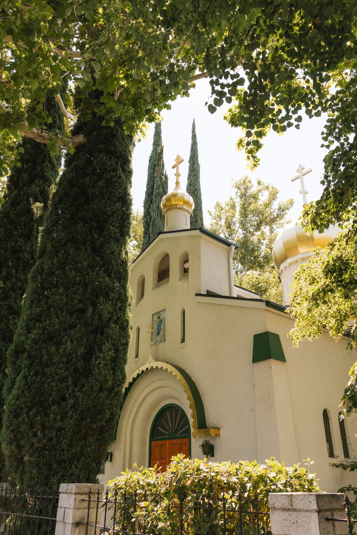 An Orthodox church framed by trees
